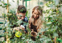 The Art of Mindfulness and Health